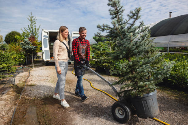Best Emergency Tree Removal  in Sweeny, TX